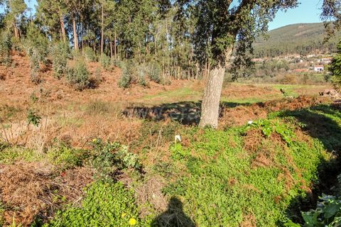 Helårsgrund i Barcelos, Braga, Barcelos - € 67.500 | Ref: 254260192 - foto 7