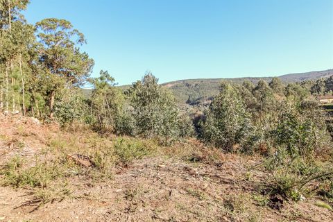 Helårsgrund i Barcelos, Braga, Barcelos - € 67.500 | Ref: 254260192 - foto 9