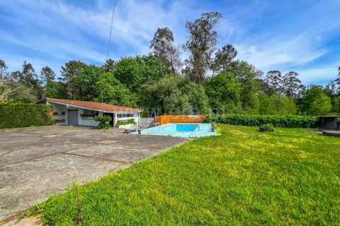 Villa i Barcelos, Braga, Barcelos - € 637.000 | Ref: 254260022 - foto 44