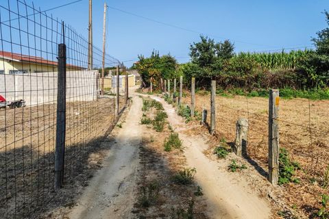 Helårsgrund i Esposende, Braga, Esposende - € 97.500 | Ref: 254260216 - foto 8