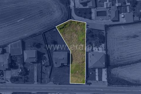 Helårsgrund i Esposende, Braga, Esposende - € 97.500 | Ref: 254260216 - foto 12