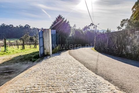 Helårsgrund i Barcelos, Braga, Barcelos - € 435.000 | Ref: 254260195 - foto 2