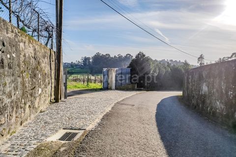 Helårsgrund i Barcelos, Braga, Barcelos - € 435.000 | Ref: 254260195 - foto 3