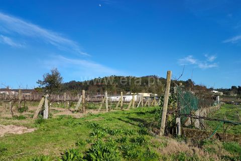 Helårsgrund i Barcelos, Braga, Barcelos - € 435.000 | Ref: 254260195 - foto 9
