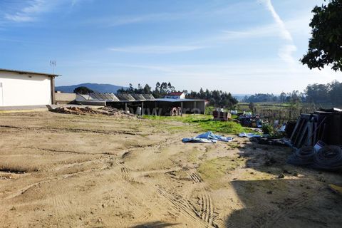Helårsgrund i Barcelos, Braga, Barcelos - € 435.000 | Ref: 254260195 - foto 10