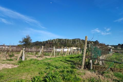 Helårsgrund i Barcelos, Braga, Barcelos - € 435.000 | Ref: 254260195 - foto 11