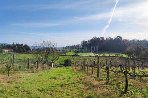 Helårsgrund i Barcelos, Braga, Barcelos - € 435.000 | Ref: 254260195 - foto 14