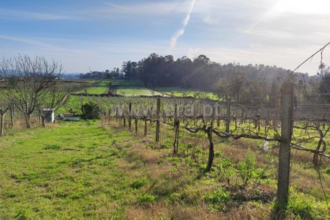 Helårsgrund i Barcelos, Braga, Barcelos - € 435.000 | Ref: 254260195 - foto 15