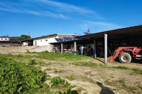 Helårsgrund i Barcelos, Braga, Barcelos - € 435.000 | Ref: 254260195 - foto 16