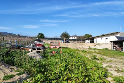 Helårsgrund i Barcelos, Braga, Barcelos - € 435.000 | Ref: 254260195 - foto 17