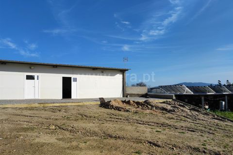 Helårsgrund i Barcelos, Braga, Barcelos - € 435.000 | Ref: 254260195 - foto 19