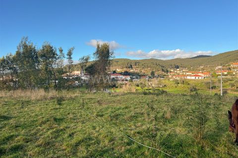 Helårsgrund i Barcelos, Braga, Barcelos - € 67.500 | Ref: 254260088 - foto 4