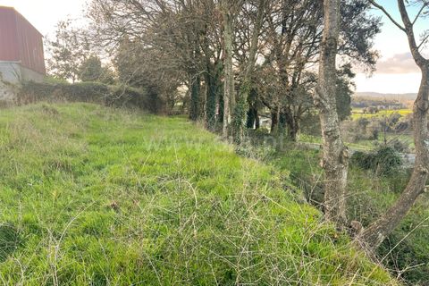 Helårsgrund i Barcelos, Braga, Barcelos - € 67.500 | Ref: 254260088 - foto 5