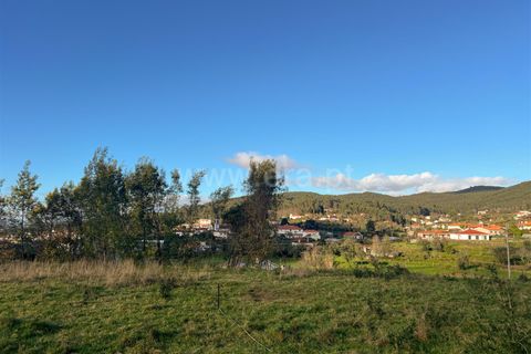 Helårsgrund i Barcelos, Braga, Barcelos - € 67.500 | Ref: 254260088 - foto 7
