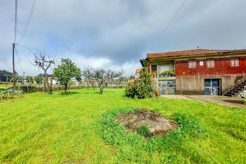 Villa a Barcelos, Braga, Barcelos - € 217.000 | Ref: 254260077 - foto 6