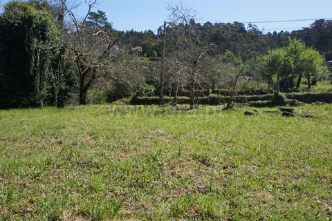 Helårsgrund i Barcelos, Braga, Barcelos - € 87.500 | Ref: 254260210 - foto 6