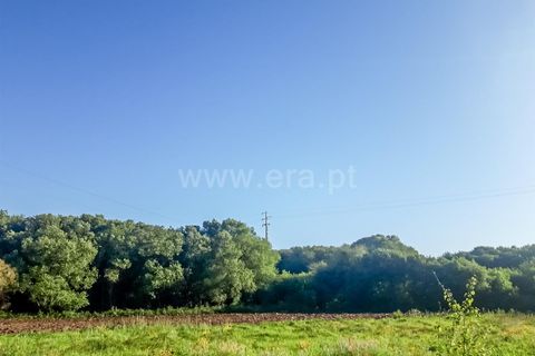 Helårsgrund i Esposende, Braga, Esposende - € 9.500 | Ref: 254260196 - foto 2