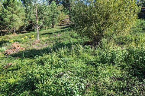 Helårsgrund i Barcelos, Braga, Barcelos - € 195.000 | Ref: 254260658 - foto 5