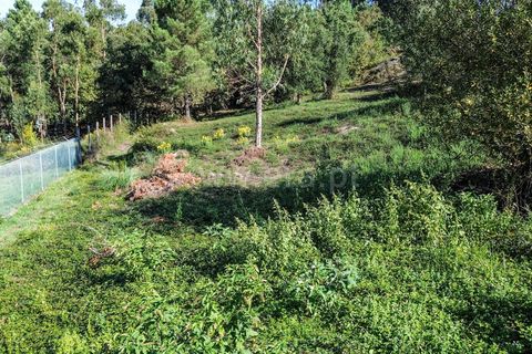 Helårsgrund i Barcelos, Braga, Barcelos - € 195.000 | Ref: 254260658 - foto 7
