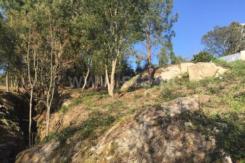 Helårsgrund i Barcelos, Braga, Barcelos - € 195.000 | Ref: 254260658 - foto 12