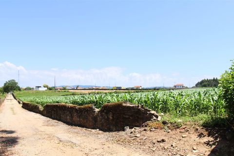 Helårsgrund i Barcelos, Braga, Barcelos - € 110.000 | Ref: 254260120 - foto 2