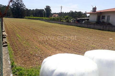 Helårsgrund i Barcelos, Braga, Barcelos - € 125.000 | Ref: 254260068 - foto 2