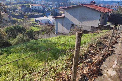 Helårsgrund i Barcelos, Braga, Barcelos - € 37.500 | Ref: 254260225 - foto 2