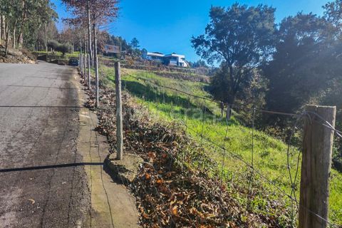 Helårsgrund i Barcelos, Braga, Barcelos - € 37.500 | Ref: 254260225 - foto 4