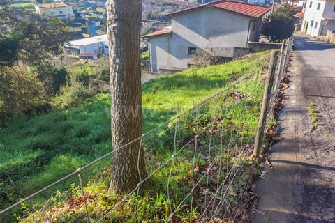 Helårsgrund i Barcelos, Braga, Barcelos - € 37.500 | Ref: 254260225 - foto 5