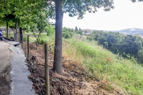 Helårsgrund i Barcelos, Braga, Barcelos - € 100.000 | Ref: 254260197 - foto 6