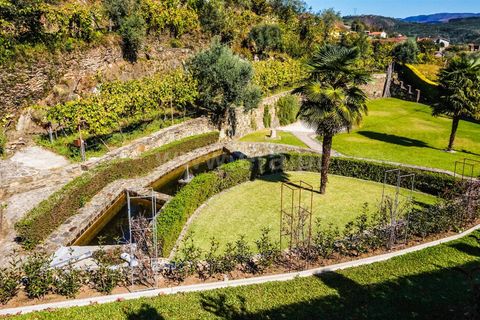 Erhvervsejendom i Arouca, Aveiro, Arouca - € 650.000 | Ref: 254260212 - foto 47