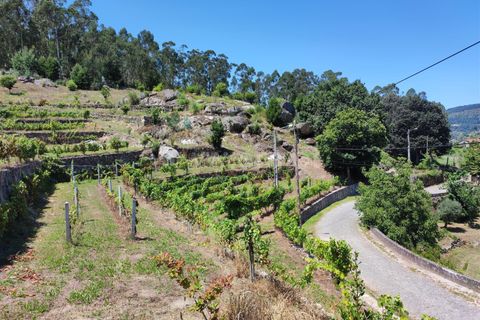 Helårsgrund i Barcelos, Braga, Barcelos - € 220.000 | Ref: 254260199 - foto 5