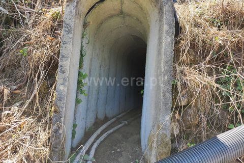 Helårsgrund i Barcelos, Braga, Barcelos - € 220.000 | Ref: 254260199 - foto 10