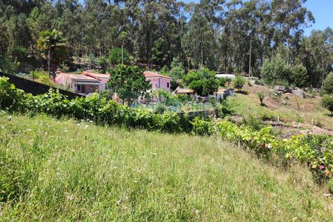 Helårsgrund i Barcelos, Braga, Barcelos - € 220.000 | Ref: 254260199 - foto 12