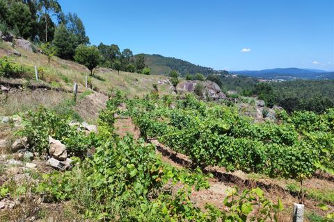Helårsgrund i Barcelos, Braga, Barcelos - € 220.000 | Ref: 254260199 - foto 13