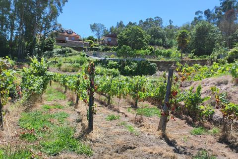 Helårsgrund i Barcelos, Braga, Barcelos - € 220.000 | Ref: 254260199 - foto 14