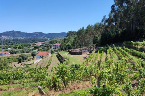 Helårsgrund i Barcelos, Braga, Barcelos - € 220.000 | Ref: 254260199 - foto 16
