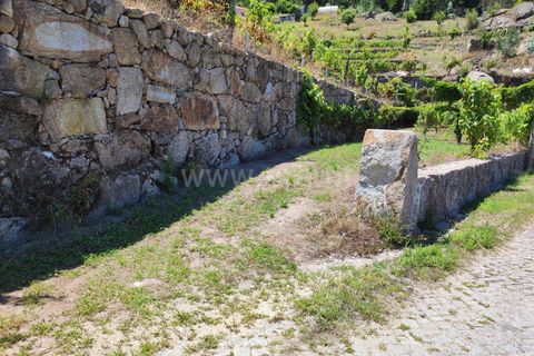 Helårsgrund i Barcelos, Braga, Barcelos - € 220.000 | Ref: 254260199 - foto 19