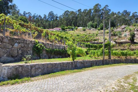 Helårsgrund i Barcelos, Braga, Barcelos - € 220.000 | Ref: 254260199 - foto 20
