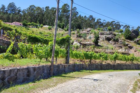 Helårsgrund i Barcelos, Braga, Barcelos - € 220.000 | Ref: 254260199 - foto 21