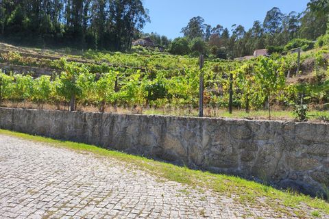 Helårsgrund i Barcelos, Braga, Barcelos - € 220.000 | Ref: 254260199 - foto 22