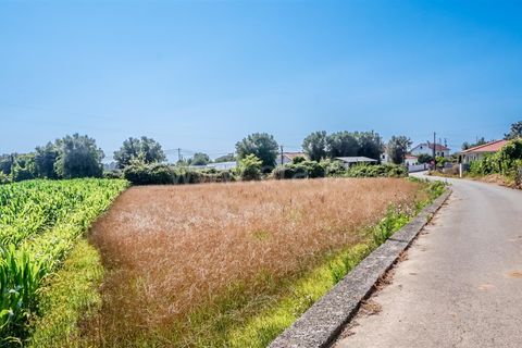 Helårsgrund i Barcelos, Braga, Barcelos - € 37.500 | Ref: 254260214 - foto 4