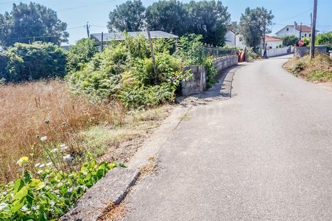 Helårsgrund i Barcelos, Braga, Barcelos - € 37.500 | Ref: 254260214 - foto 5