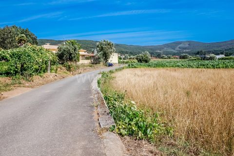 Helårsgrund i Barcelos, Braga, Barcelos - € 37.500 | Ref: 254260214 - foto 6