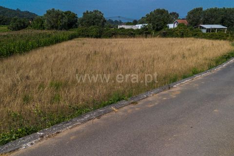 Helårsgrund i Barcelos, Braga, Barcelos - € 37.500 | Ref: 254260214 - foto 7