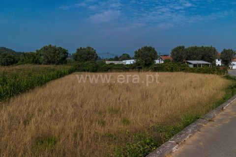 Helårsgrund i Barcelos, Braga, Barcelos - € 37.500 | Ref: 254260214 - foto 8