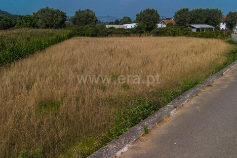 Helårsgrund i Barcelos, Braga, Barcelos - € 37.500 | Ref: 254260214 - foto 9