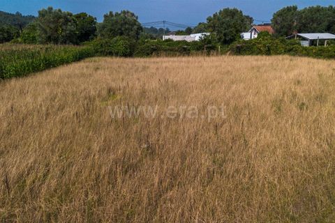 Helårsgrund i Barcelos, Braga, Barcelos - € 37.500 | Ref: 254260214 - foto 11