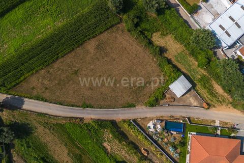 Helårsgrund i Barcelos, Braga, Barcelos - € 37.500 | Ref: 254260214 - foto 12