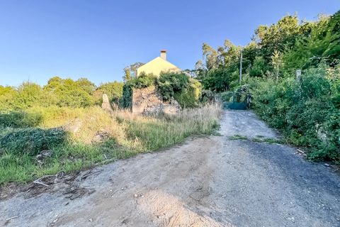 Helårsgrund i Barcelos, Braga, Barcelos - € 77.500 | Ref: 254260080 - foto 8